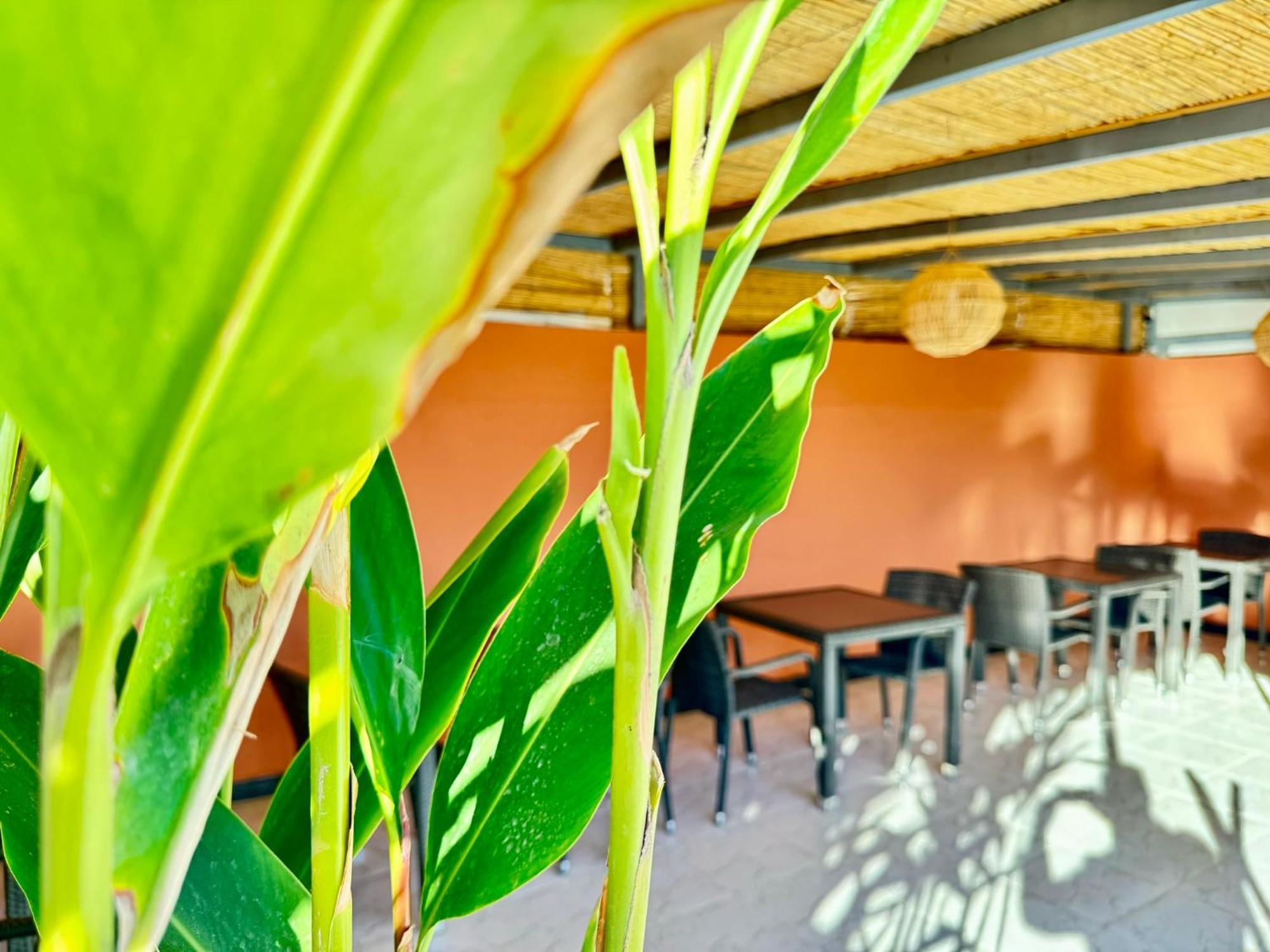 Riad Arrahma Marraquexe Exterior foto